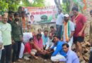 Under the Rajiv Gandhi tree plantation campaign, the District Congress Committee on Tuesday planted trees in the Devkali ward of the Sadar assembly constituency.